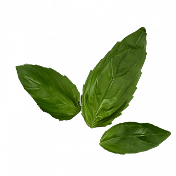 Базилік (5г)
